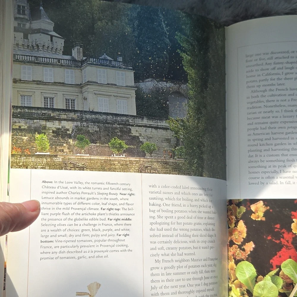 Williams Sonoma Savoring France Cookbook with Green and Yellow Cover